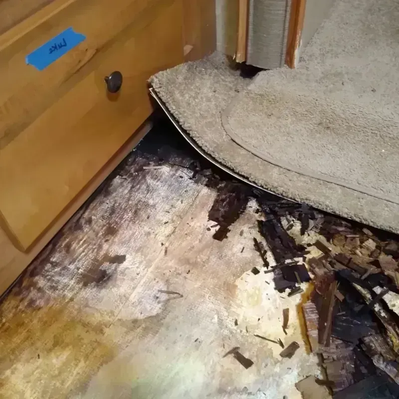 Wood Floor Water Damage in Cass County, MO